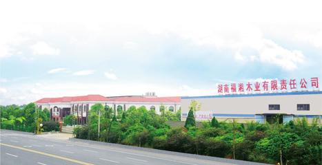 51除醛时代，揭秘家装“秘密”武器 生态建材