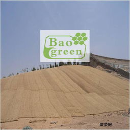 护坡植被垫植草毯厂家现货直销 生态建材销售新选择